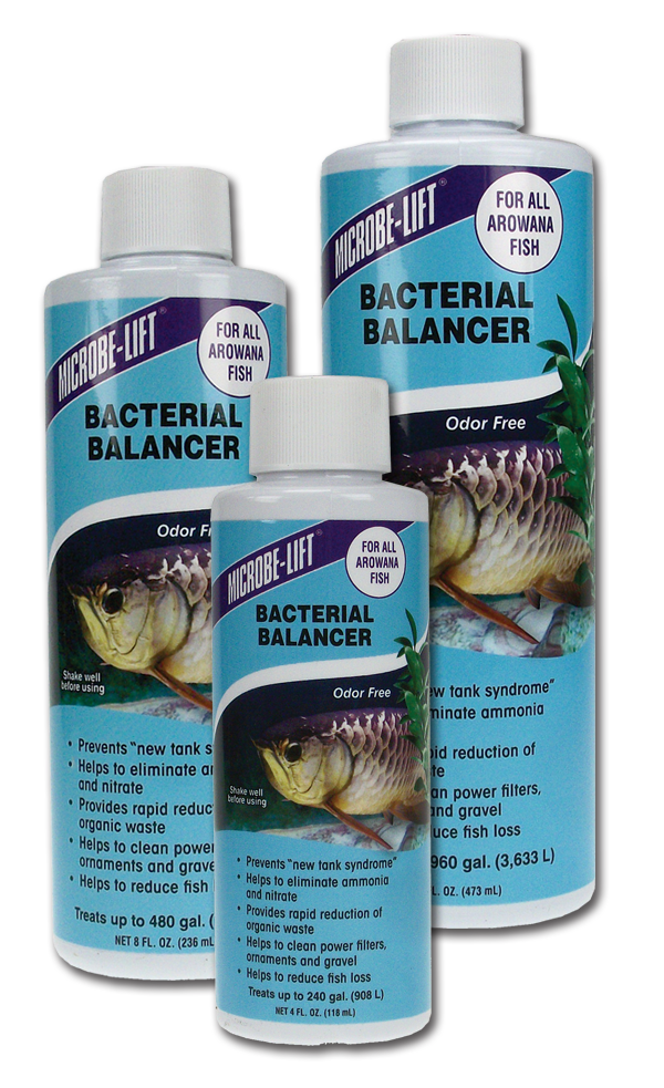 bacterial balancer arowana microbe